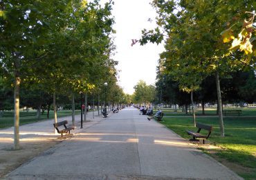 El PAR Zaragoza solicita al Ayuntamiento un plan para favorecer la accesibilidad a las zonas verdes