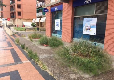 El PAR lamenta que mientras el comercio de Barbastro se esfuerza por embellecer la ciudad con flores, el Ayuntamiento deja crecer matojos de hierba en espacios públicos