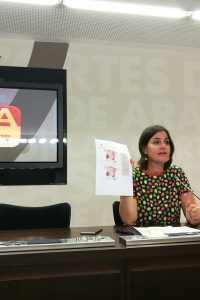 El PAR recuerda al Gobierno de Aragón (PSOE-CHA) que cumplir el objetivo de déficit no es una opción sino «una obligación»