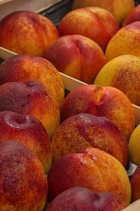 El PAR-Bajo Cinca reclama la aplicación urgente de las medidas planteadas frente a la crisis de precios de la fruta