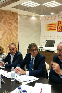 Acuerdo adoptado por la Comisión Ejecutiva relativo a la posición del Partido Aragonés en relación con la aplicación del artículo 155 de la Constitución