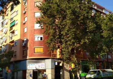 PAR Zaragoza reclama poda en calles del barrio de Las Fuentes