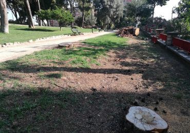 PAR Zaragoza reclama mejoras para el Parque Castillo Palomar
