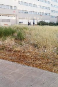 PAR Zaragoza reclama acondicionamiento del entorno del colegio San Jorge, en Valdespartera