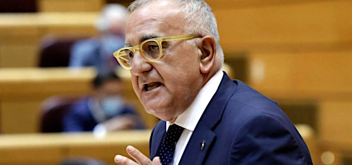 Sánchez-Garnica (PAR) pide “sensatez y prudencia” respecto a la renovación del Tribunal Constitucional